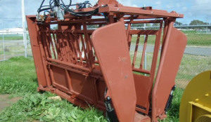 Bullseye Heavy Duty Ranch Cattle Crush